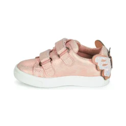 Acebo's - BAMBU Rose