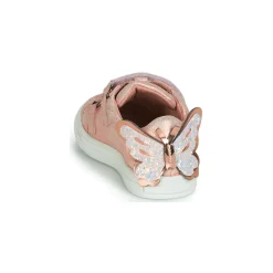 Acebo's - BAMBU Rose