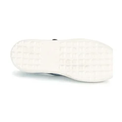 Acebo's - SIULO Marine Clearance