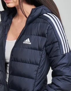 Hot adidas Performance - WESSPAR Encrelegende