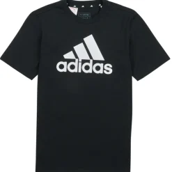 Adidas Sportswear - BL TEE