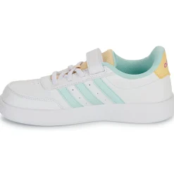 Adidas Sportswear - BREAKNET 2.0 EL C Online