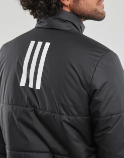 Clearance Adidas Sportswear - BSC 3S INS JKT Noir
