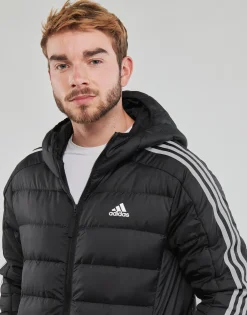 Adidas Sportswear - ESS 3S L D H PA Hot