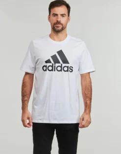 Online Adidas Sportswear - Essentials Single Jersey Big Logo T-Shirt Blanc