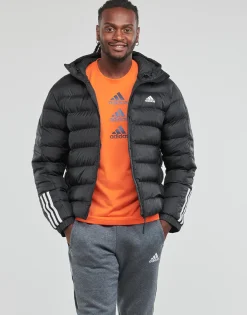 Adidas Sportswear - ITAVIC M H JKT