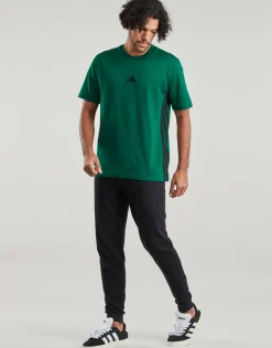 Adidas Sportswear - JD1905 Vert