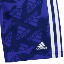 Adidas Sportswear - LK CAMLOG FT SH Bleu