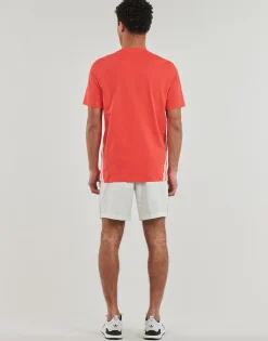 Adidas Sportswear - M FI 3S REG T