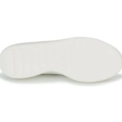 Adidas Sportswear - ZNTASY