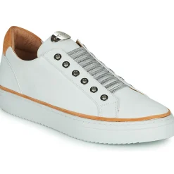 Adige - QUANTON4 V8 Blanc Online