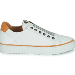 Adige - QUANTON4 V8 Blanc Online