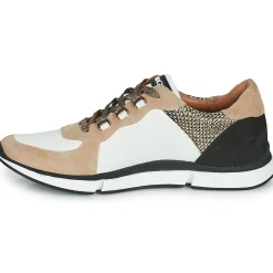 Discount Adige - VEGA V2