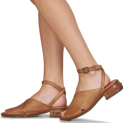 Airstep / A.S.98 - GEA Camel Online