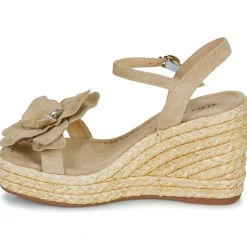 ALMA EN PENA - V251285