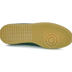 Discount ALOHAS - Tb.490 Vert