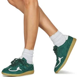 Discount ALOHAS - Tb.490 Vert