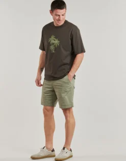 Online Armani Exchange - XM000772 Kaki