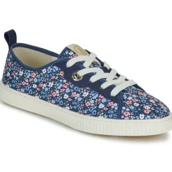 Sale Armistice - NOVO ONE