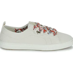 Armistice - NOVO ONE Clearance