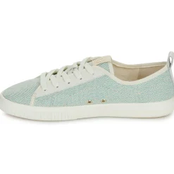 Armistice - NOVO ONE W