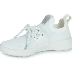 Hot Armistice - VOLT ONE