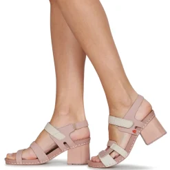 Outlet Art - I WISH Rose