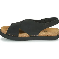 Hot Art - RHODES Noir