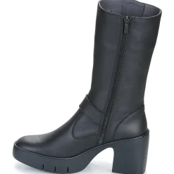 Art - SOFIA Noir Best