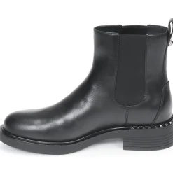 Ash - FANCY Noir Best