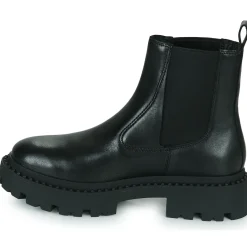 Ash - GENESIS Noir Best