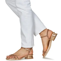 Ash - ICARO Doré Clearance