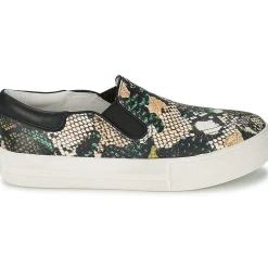 Sale Ash - JAM Python