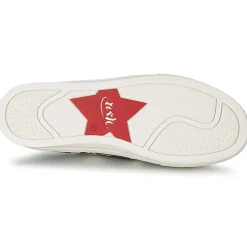 Sale Ash - JAM Python