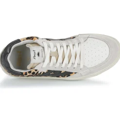 Discount Ash - MOONLIGHT Leopard