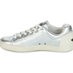 Ash - NAK BIS Argent