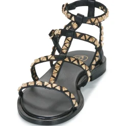 Ash - PANDORA Noir Online