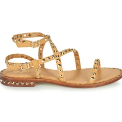 Ash - PETRA Marron Clearance