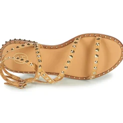 Ash - PETRA Marron Clearance