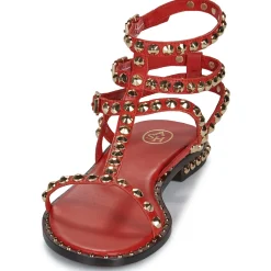 New Ash - PLAY Rouge