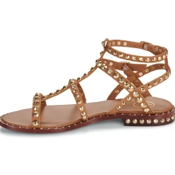 Ash - PRECIOUS Camel Sale