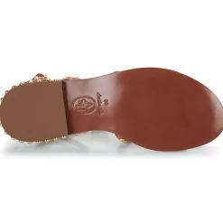 Ash - PRECIOUS Camel Sale