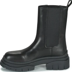 Ash - STORM Noir Clearance