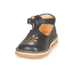 Aster - BIMBO Marine Discount