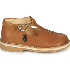 Aster - BIMBO Cognac Outlet