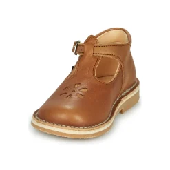 Aster - BIMBO Cognac Outlet