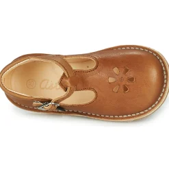 Aster - BIMBO Cognac Outlet