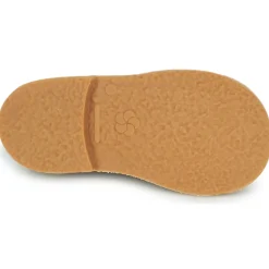 Aster - BIMBO Cognac Outlet