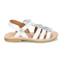 Best Aster - CORELLE Blanc