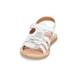 Best Aster - CORELLE Blanc